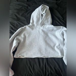 Aritzia tna cropped perfect hoodie